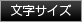 文字サイズ